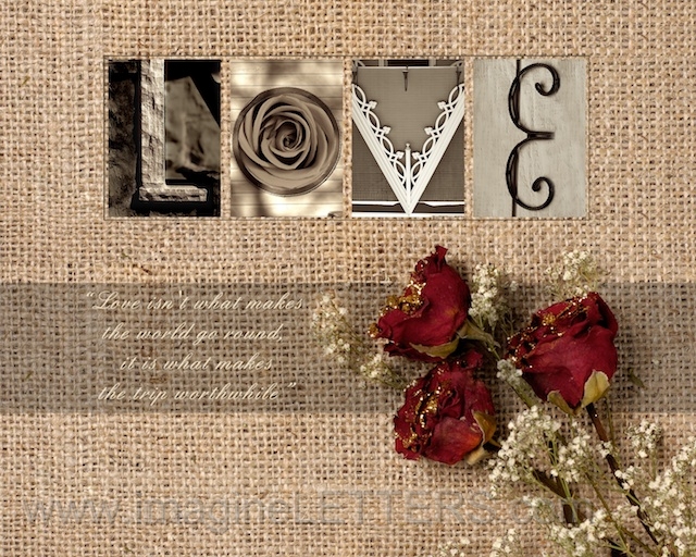 Wall_Art_Alphabet_Photography_Art_ 2226.jpg